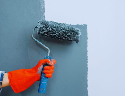 Exploring Cheap House Painting Services